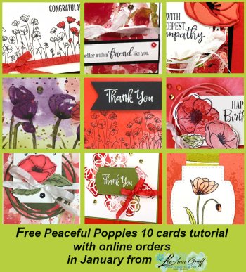 January Poppy graphic