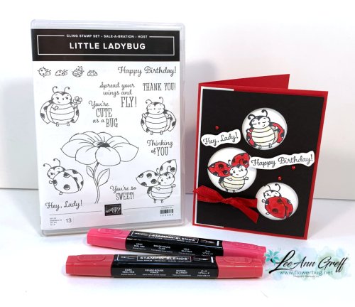 Little Ladybug windows