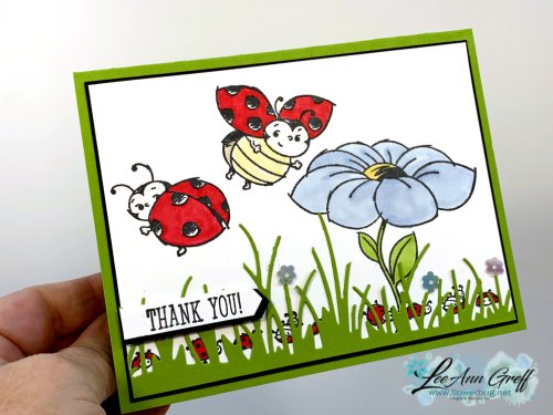 Little Ladybug in the grass..