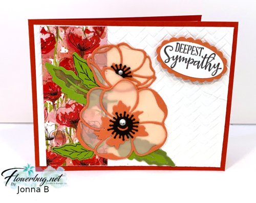 Jonna Peaceful Moments