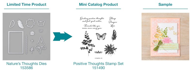 Natures-Thoughs-scaled