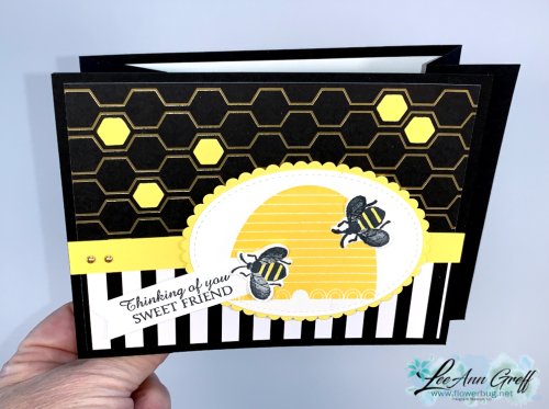 March Honey Bee top view March Honey Bee top view