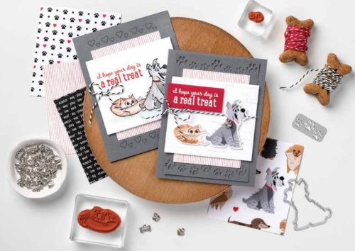 Playful Pets suite Playful Pets suite