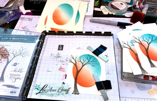 Masked window stamparatus