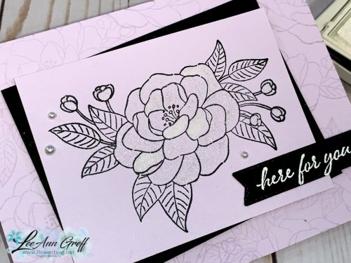 Sept 1 Wink of Stella 