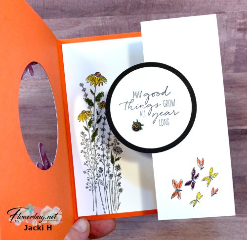 March Jacki Dragongly Dreams