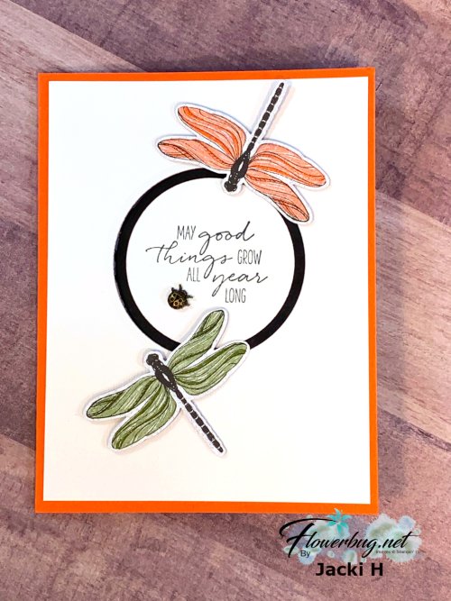 March Jacki Dragongly Dreams