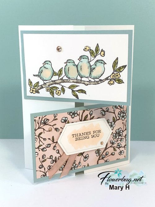 May Candy Positive Thoughts 