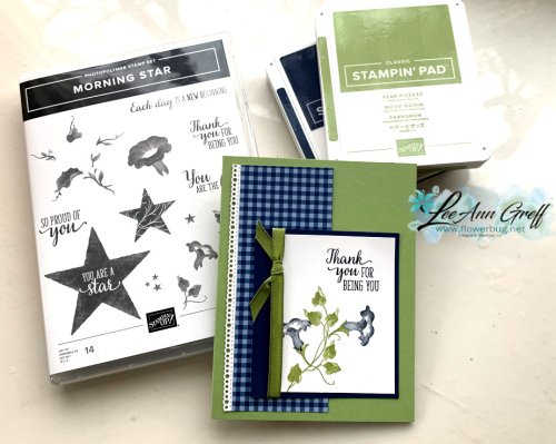 Morning Star color duo