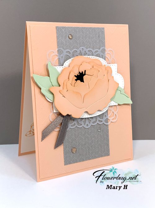 June Mary Peony Garden