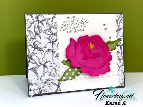 June Mary Peony Garden