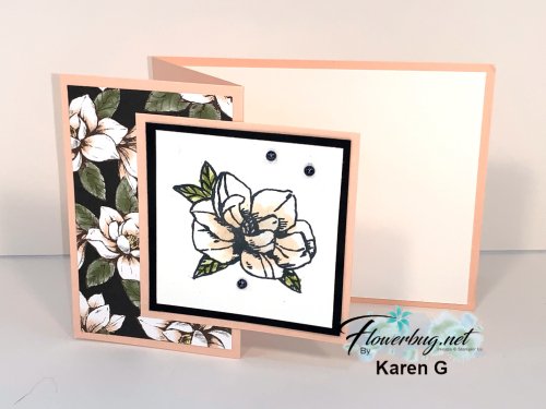 May Sue Positive thoughts 