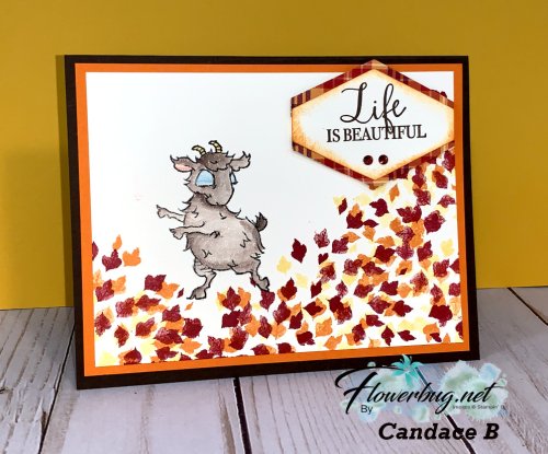 August Annette Rooted in Nature