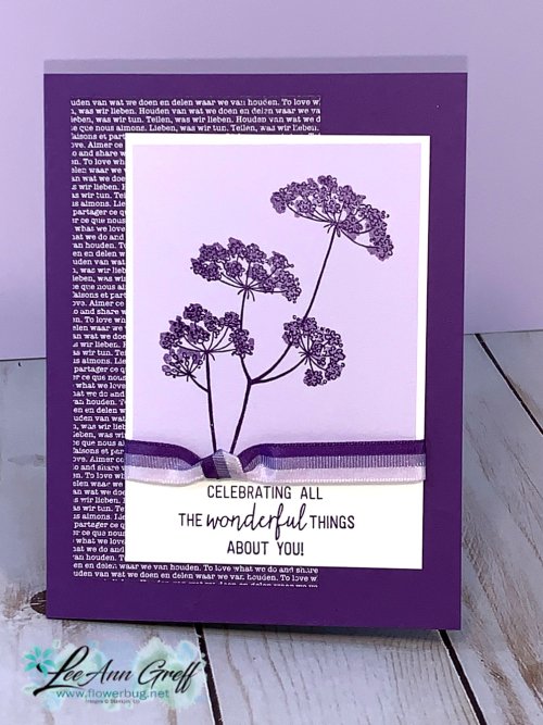 Queen Anne's Lace Grape. 