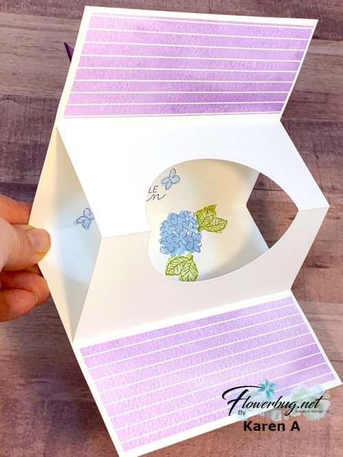 March Karen Hydrangea Hill