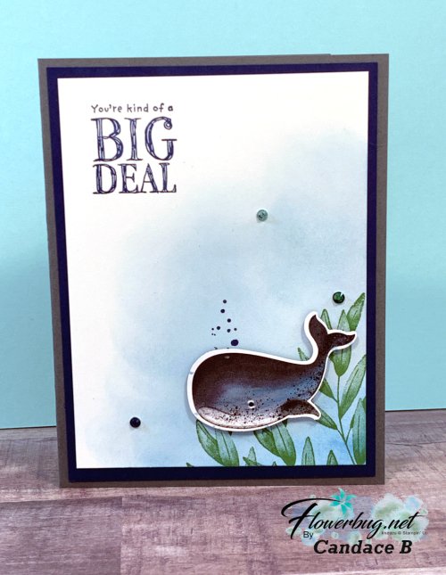 April Candace Whale Done