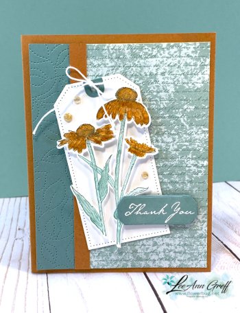 Nature's Harvest Succulent 