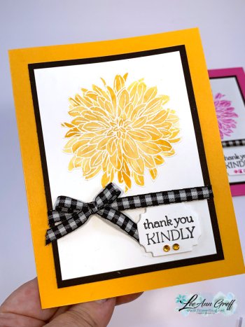 Delicate Dahlias Mango