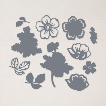 Summer Shadow dies .