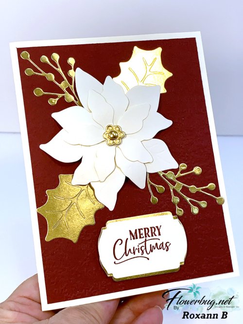 Oct Roxann Poinsettia .