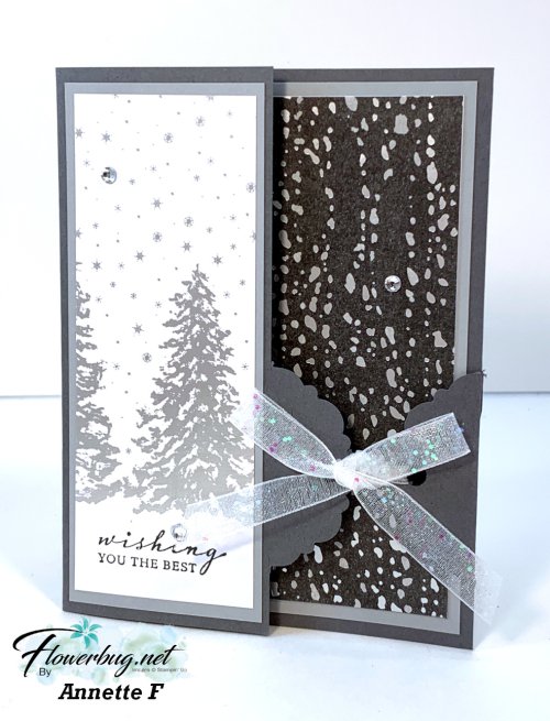 Oct Roxann Poinsettia .