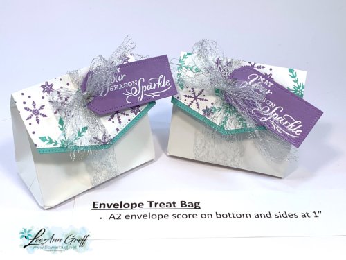 Envelope bags 