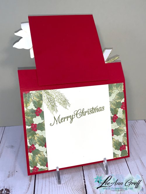 Oct 26th Red Poinsettia