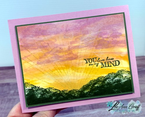 After the Storm Freesia 