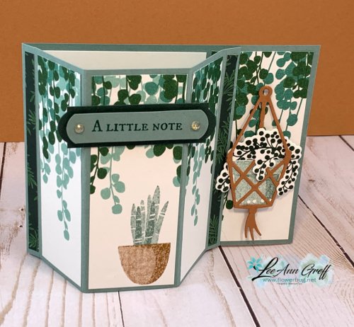 Bay Window Bloom Where You're Planted