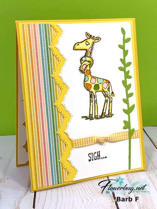 July Barb Back on your feet. 