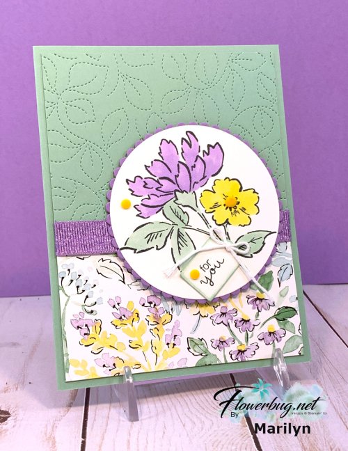 July Paula Color & Contour