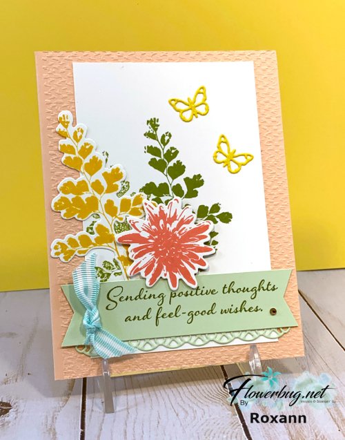 July Paula Color & Contour