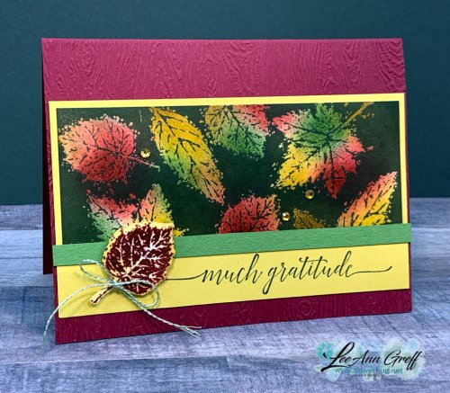 Gorgeous Leaves Joseph's Coat