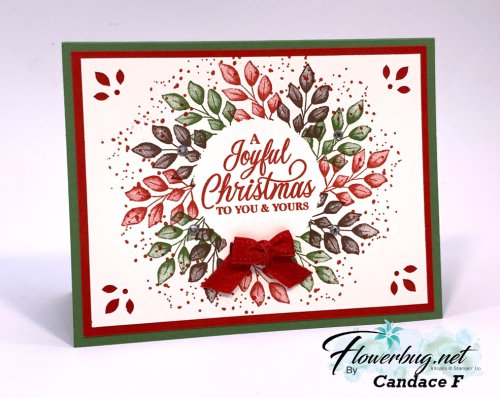 Nov Tammi Biggest Wish Nov Tammi Biggest Wish