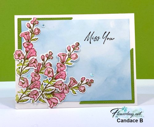 Honeybee Home Candace .