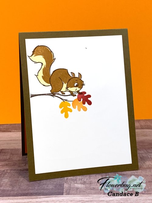 Candace Nuts About You