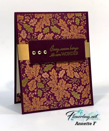 Nov Annette Blackberry Beauty