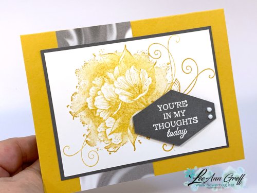 Calming Camelia swap gray 