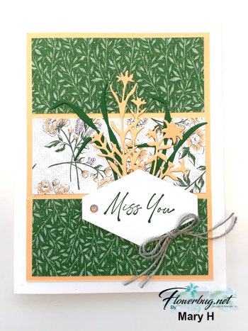 Jan Honeybee Home Mary