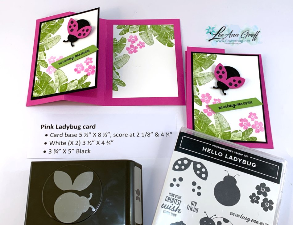 Hello Ladybug & Island Vibes