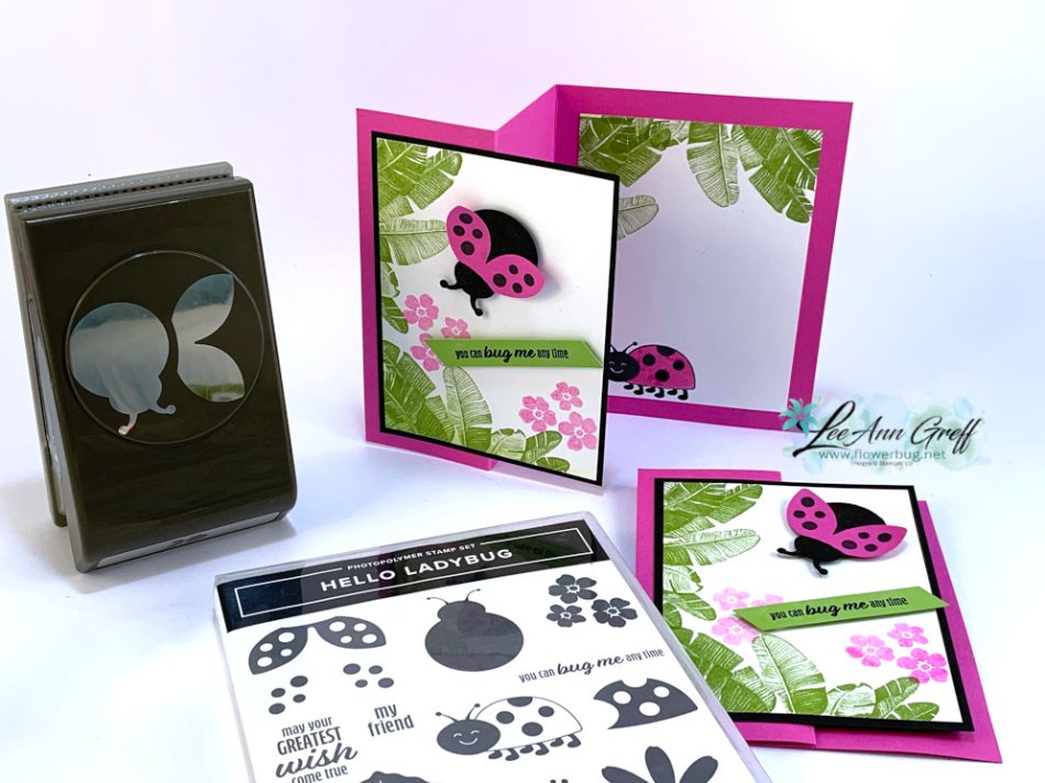 Hello Ladybug & Island Vibes