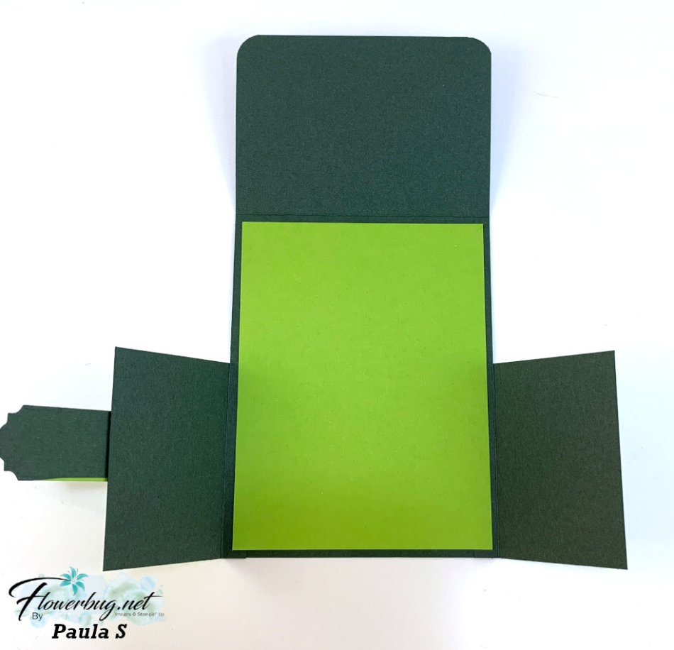 Feb Paula Turtle dutch door