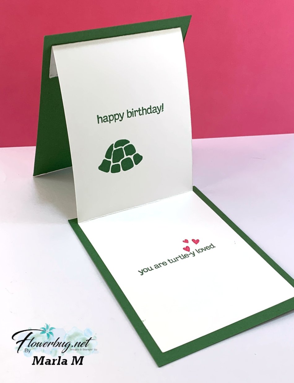 Feb Turtle Friends Marla