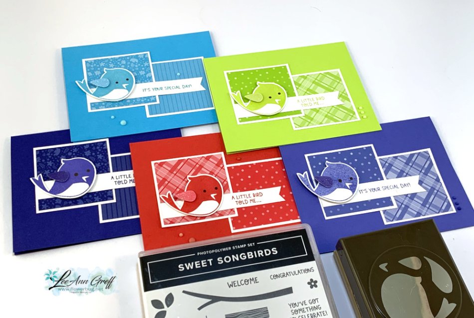 Sweet Songbirds in colors . Sweet Songbirds in colors .