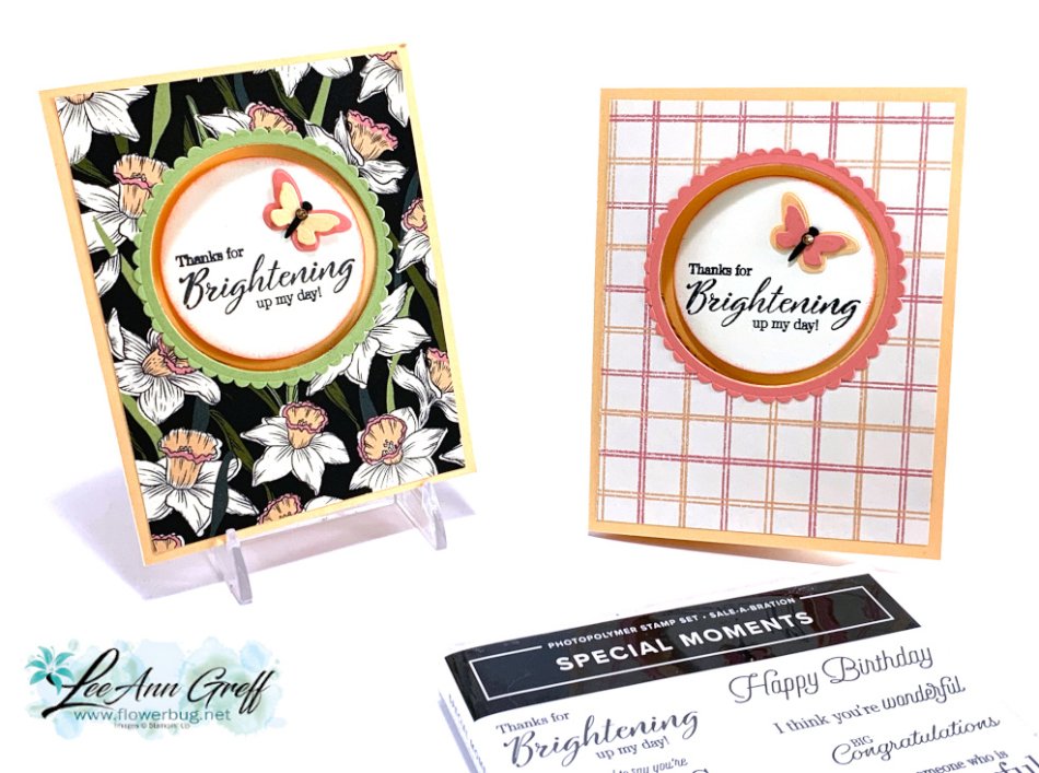 Daffodil Afternoon circle fun fold cards