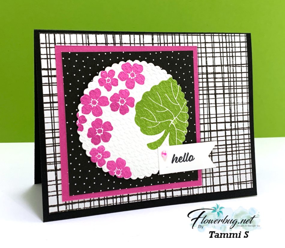 March Tammi Hello Ladybug