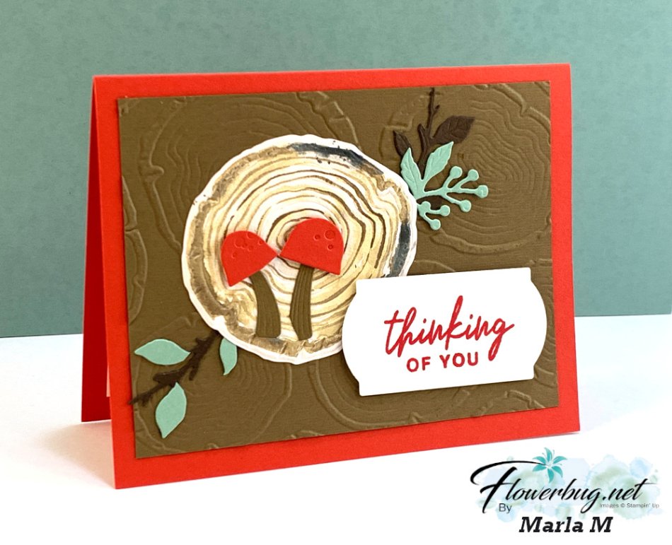 July Marla Ringed with Nature