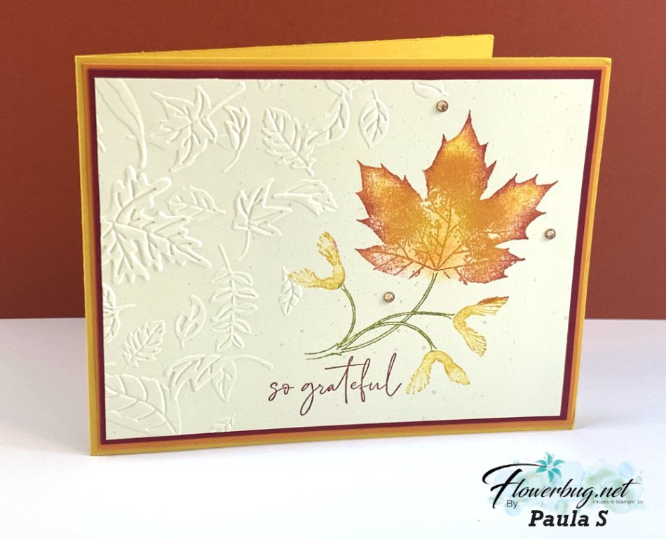 August Paula Soft Seedlings August Paula Soft Seedlings