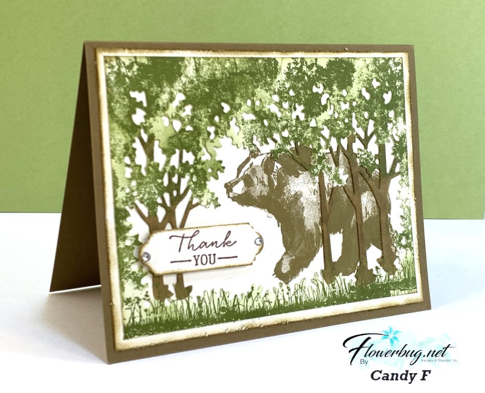 July Candy Wildlife Wonder