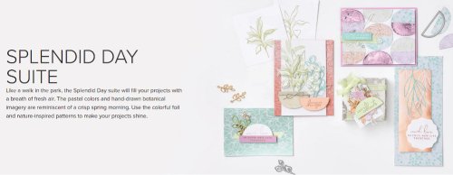 Splendid day suite